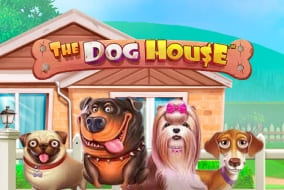 The Dog House